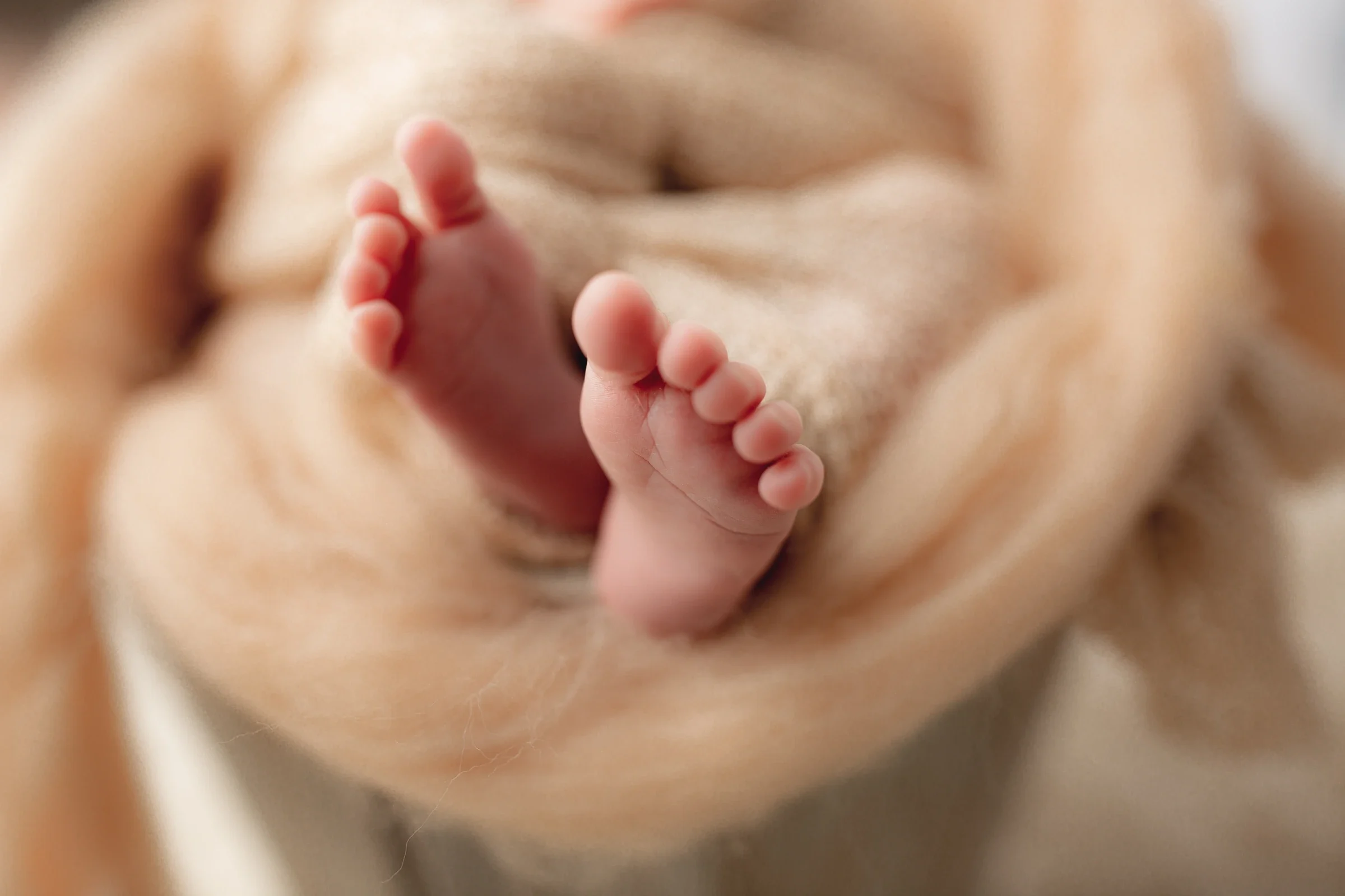 New Borns portrait 1 by Marjan Allameh